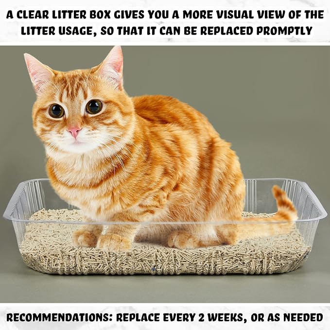 Tessco for you 30 Pack Disposable Cat Litter Boxes, Plastic Leakproof Litter Trays for Cats, Disposable Travel or Temporary Litters Pan for Kittens and Small Pets, 16.7 x 10.5 x 3.4 Inch(Clear)