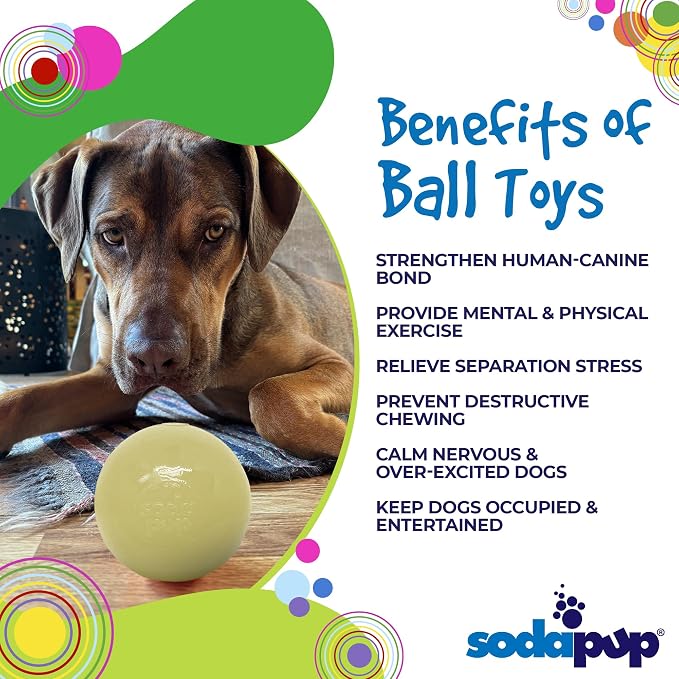 SodaPup Squeaker Ball – Durable Dog Ball Toy, Chew Toy & Floating Retrieving Toy with Squeaker Made in USA from Non-Toxic, Pet-Safe, Food Safe Rubber Material for Bonding, Physical Exercise, & More