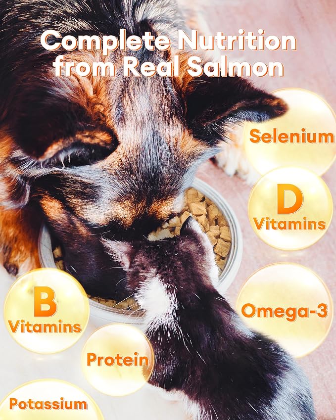 Freeze Dried Salmon Treats for Dogs & Cats – 10.58 oz, Single Ingredient, High-Protein, Natural High Value, Grain-Free, Healthy Pet Training Treats or Food Topper