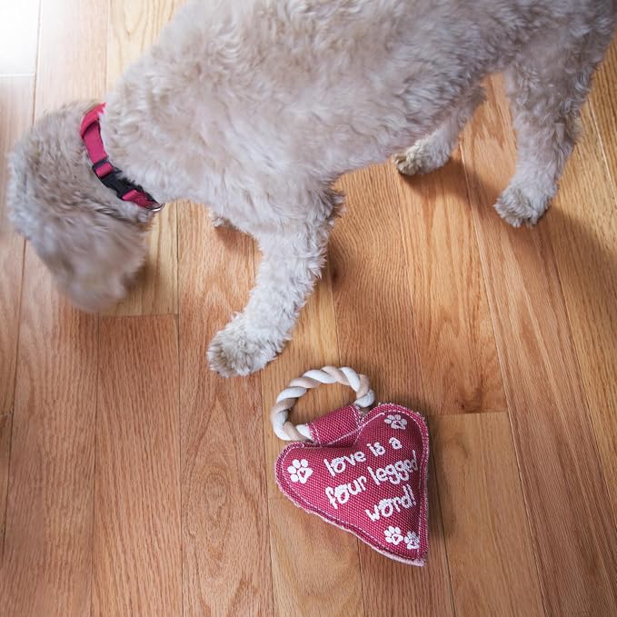 Pavilion Gift Company 45611 Pavilion's Pets-Red Heart Shaped Canvas and Rope Dog Squeaky Toy-Love is a Four Legged Word, Dog, Best for Medium- Large Breeds