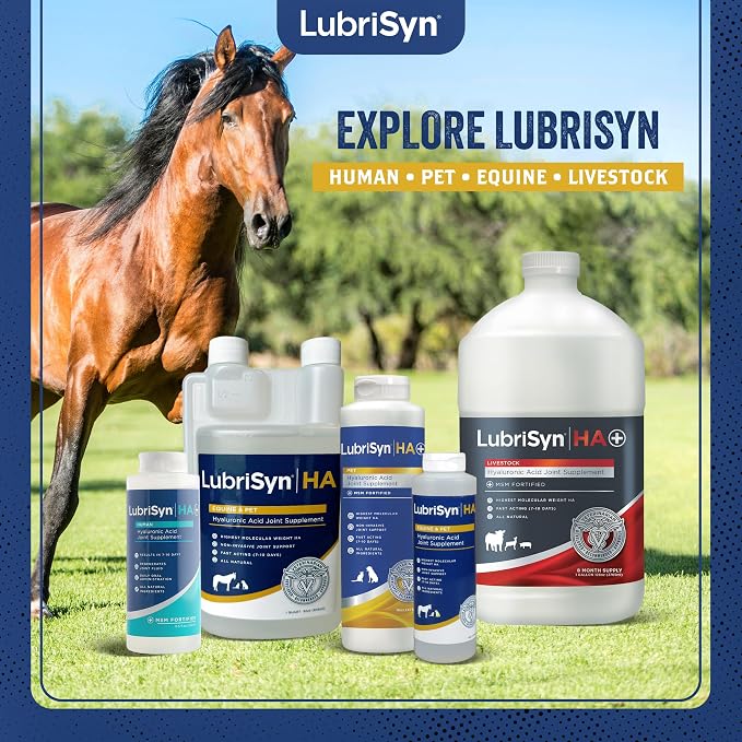 LubriSyn HA Hyaluronic Acid Hip & Joint Supplement for Dogs & Cats, Vet-Developed Oral HA, Original Pet & Equine Liquid Formula Supports Mobility, Cartilage Health & Comfort, 16 oz