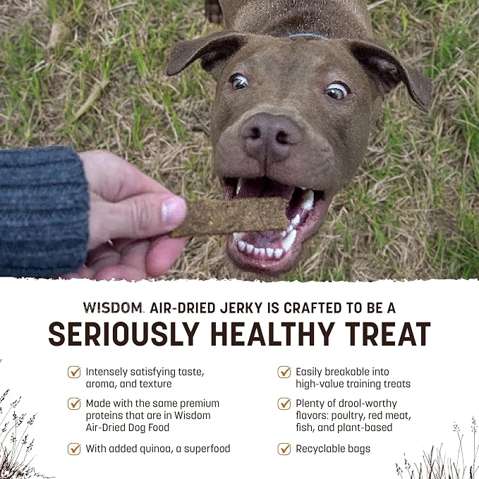 Earth Animal Wisdom Air Dried Jerky - From the Soil Recipe Premium Natural Insect Based Jerky Strips Dog Treats - 4 oz Bag
