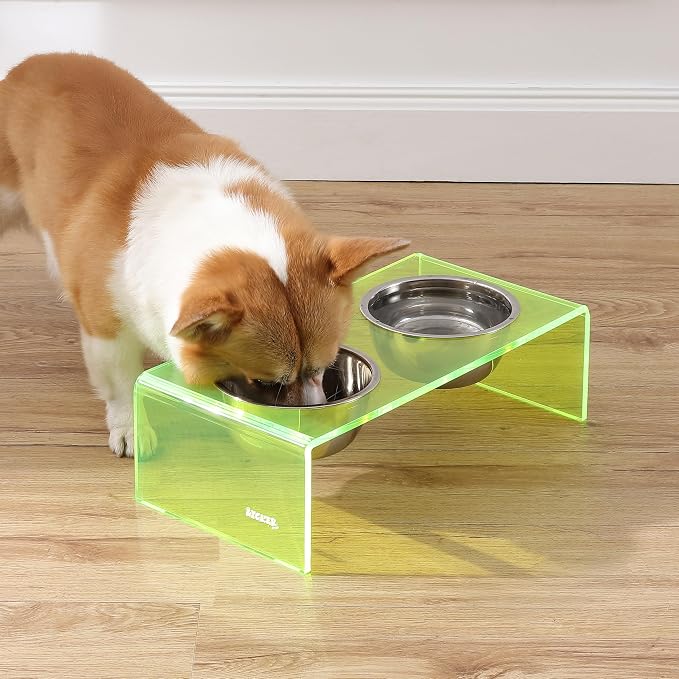 DBL2000G Keaton 5" Small/Medium Modern Acrylic Rectangular Elevated Pet Feeder with 20oz 2-Stainless Steel Bowls, Green/Chrome