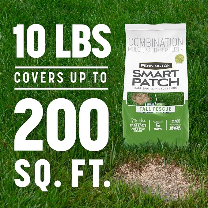 Pennington Smart Patch Tall Fescue Grass Seed, Tall Fescue 10lb