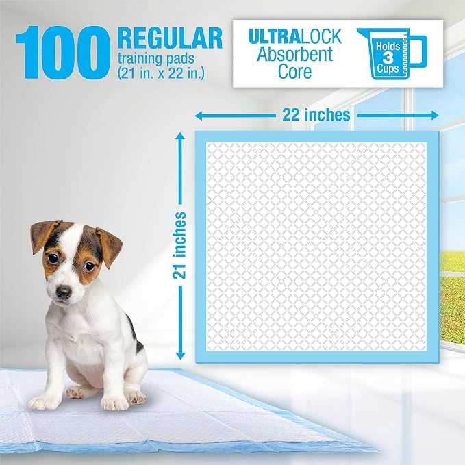 RUFFIN' IT Lil' Squirts Puppy Training Pads 100 Pk.