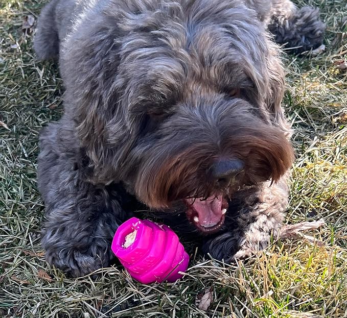 HIVE Parent (Wild Berry, Hive Chew Toy for Small Dogs)