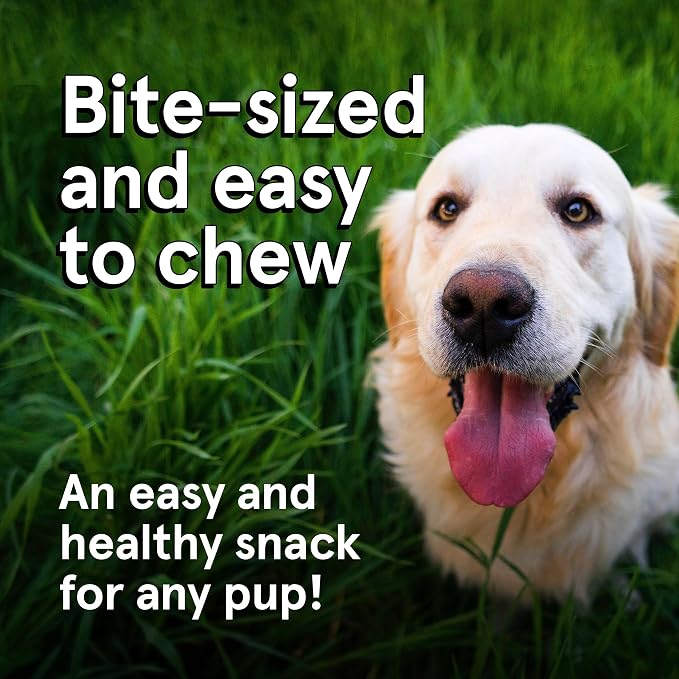 TRMC Real Meat Dog Treats - 12oz Bag of Bite-Sized Air-Dried Fish & Venison Jerky for Dogs - Grain-Free Jerky Dog Treats Made up of 95% All-Natural, Free-Range Venison & Ocean-Caught Fish