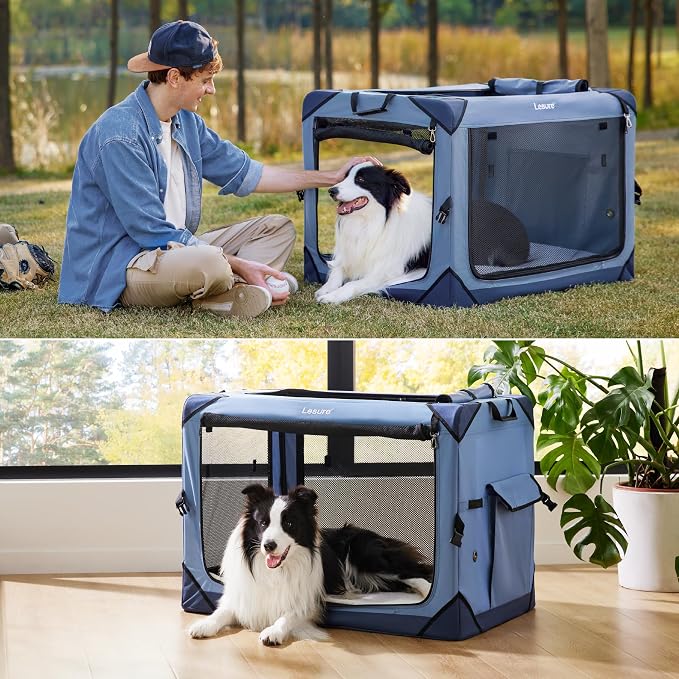 Lesure Collapsible Dog Crate - Portable Travel Kennel for Medium Dog, 4-Door Pet Crate with Mesh Windows, Indoor & Outdoor, Blue