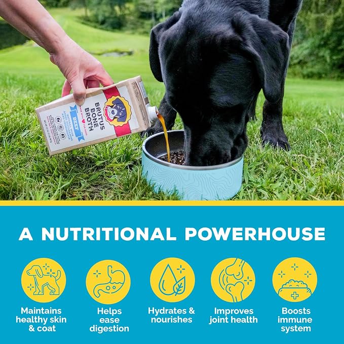 Brutus Beef Bone Broth for Dogs - All Natural Bone Broth with Chondroitin Glucosamine & Turmeric, Human Grade Food Toppers for Picky Eaters & Dry Food-Tasty & Nutritious, Pack of 12