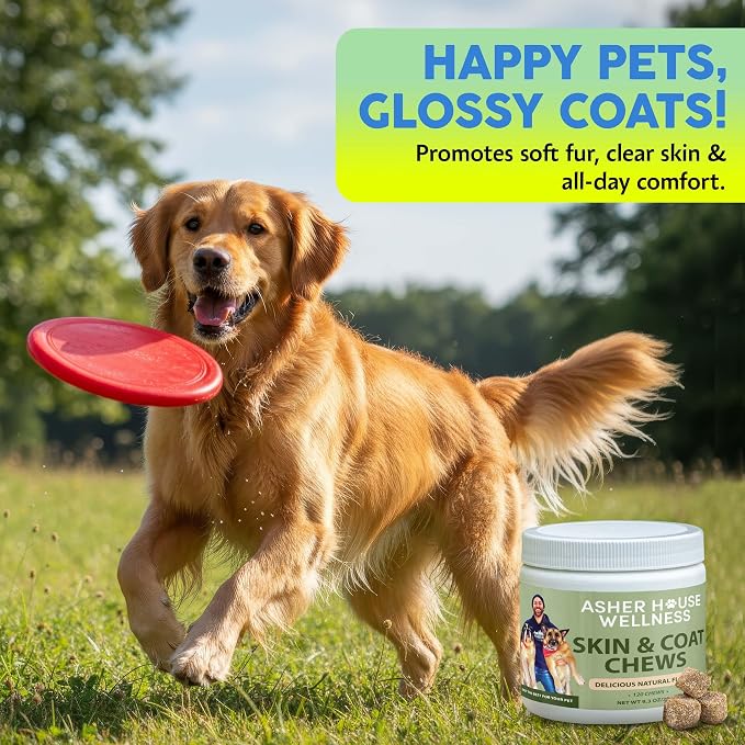Asher House Wellness Skin & Coat Chews - Now Lillie & Lee - Dog Itching Skin Relief with Omega 3, 6, 9, Fish Oil, Biotin - Dogs Itchy Paw Licking Chewable Treats - 120 Soft Chews