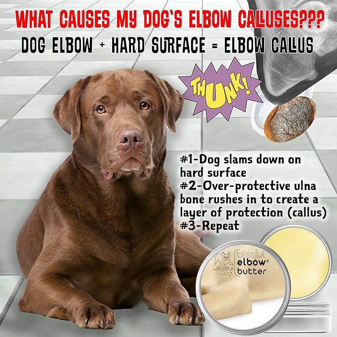 The Blissful Dog Elbow Butter for Dry, Cracked Calluses, Lick-Safe Dog Balm, Soothing Elbow Balm with Moisturizing Shea Butter, Almond, Olive, and Essential Oils, Pet Supplies, 4 oz. Tin