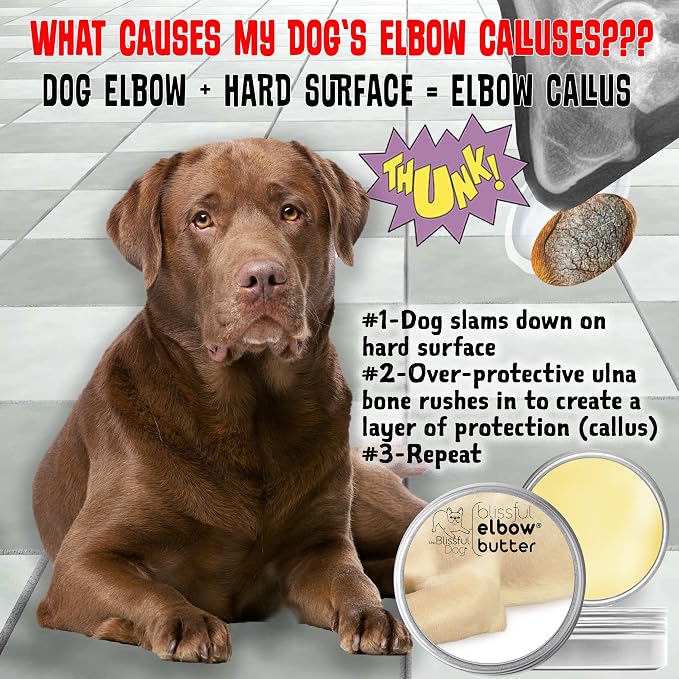 The Blissful Dog Elbow Butter for Dry, Cracked Calluses, Lick-Safe Dog Balm, Soothing Elbow Balm with Moisturizing Shea Butter, Almond, Olive, and Essential Oils, Pet Supplies, 0.15 oz. Stick
