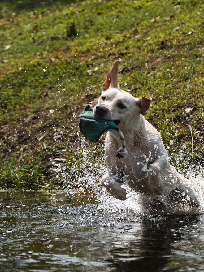 Dog Toy, Squeaky Plush Dog Toy, Rough & Tough Interactive Pet Toy, Recycled Fabric and Double Stitched (Manta)