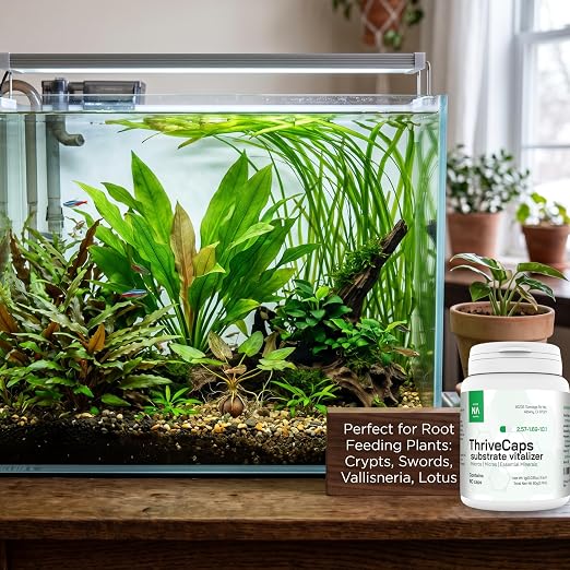 ThriveCaps Aquarium Root Caps – Premium Root Fertilizer for Live Plants – Slow Release – Strong NPK + Micros – Safe for Shrimp & Snails – 60 Count