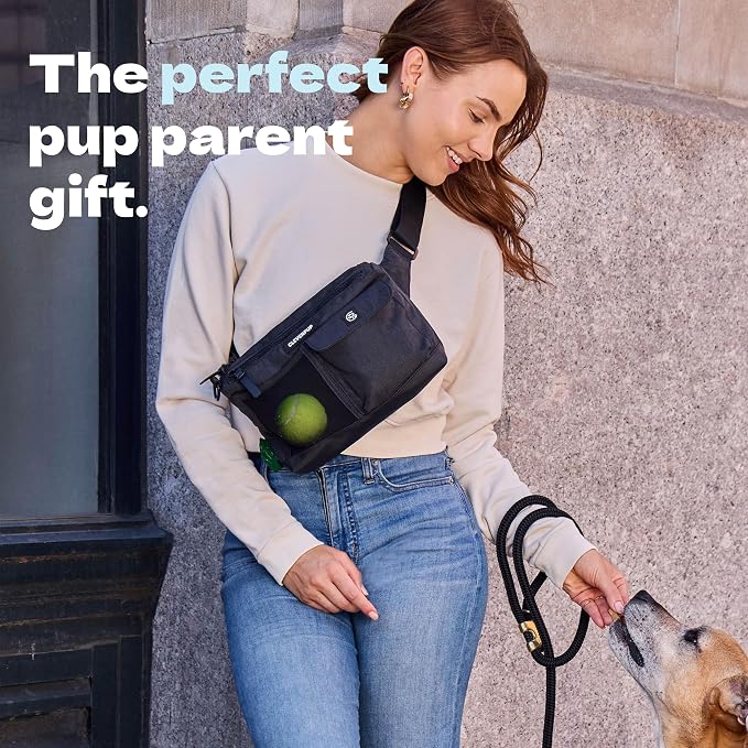 Cleverpup Dog Walk & Train Sling Bag - Hands-Free Dog Walking & Training Bag with Treat Pouch, Poop Bag Holder & Phone Pocket - Crossbody or Fanny Pack, Adjustable Strap - Graphite