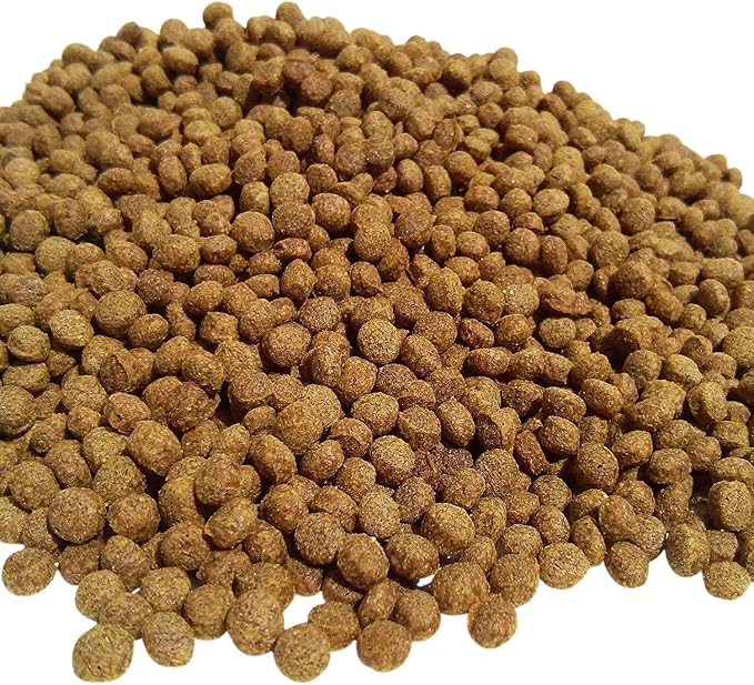 4mm - 3/16" Wheat Germ Cooler Weather Koi & Pond Fish 28% Protein Floating Pellets, Easy-to-Digest Formula for Colder Temperatures...10-lbs