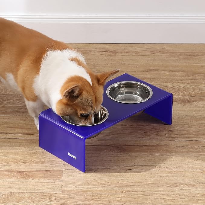DBL2000F Keaton 5" Small/Medium Modern Acrylic Rectangular Elevated Pet Feeder with 20oz 2-Stainless Steel Bowls, Purple/Chrome