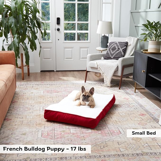 Happy Hounds Daisy Deluxe Supportive Sherpa Dog Bed, Small (36 x 24 in.), Red