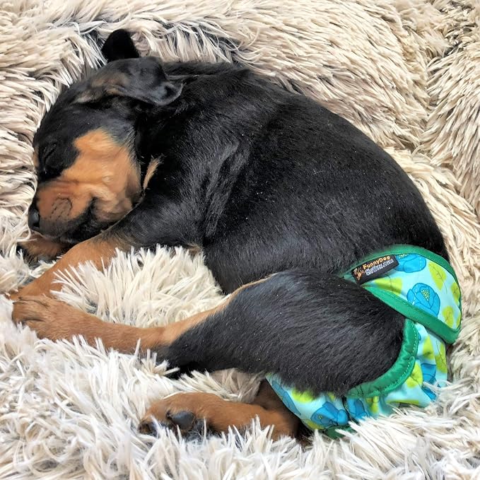 Pack of 6 Female Dog Diapers with 4 - Layers of Absorbent Pads Cat Panties Waterproof Leak Proof Washable (S: Waist 12" - 16", Pack of 6 Patterns)