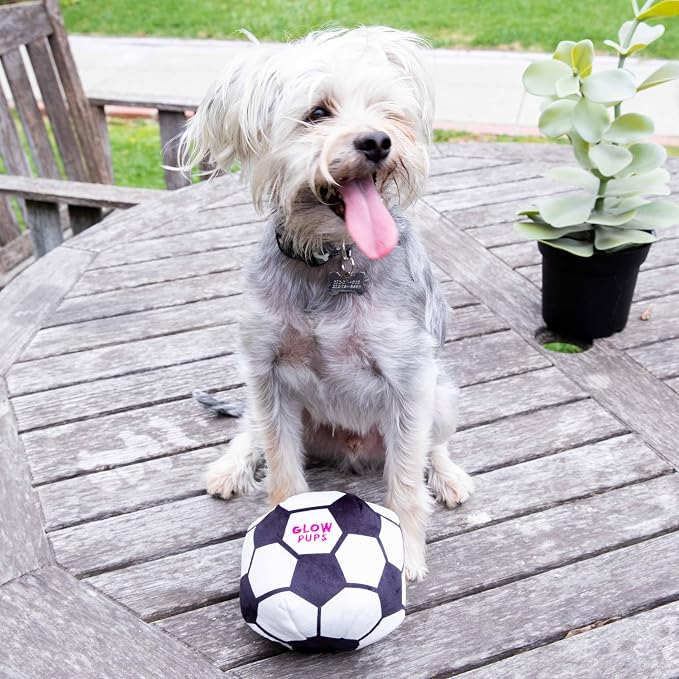 Glow Pups Plush Soccer Ball Dog Toy with Squeaker, Black and White