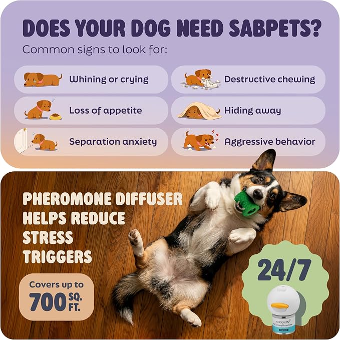 Dog Calming Diffuser Kit by SabPets – Pheromone Plug-in for Dogs, Helps Reduce Pee Accidents, Barking & Separation Anxiety – 2 Diffusers + 4 Refills + Toy | Mess-free support for home routines