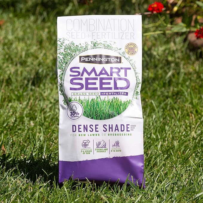 Pennington Smart Seed Dense Shade Mix, Grass Seeds for Lawn, 4/7 lb