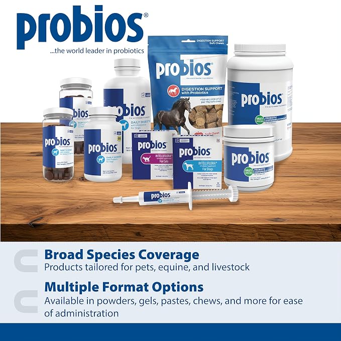 Probios for Dogs Soft Chews, Daily Probiotic Supplement for Gut Health, Digestion and Immune Support Medium and Large Breeds, Chicken Liver Flavor, 4.23 oz 120 Chews