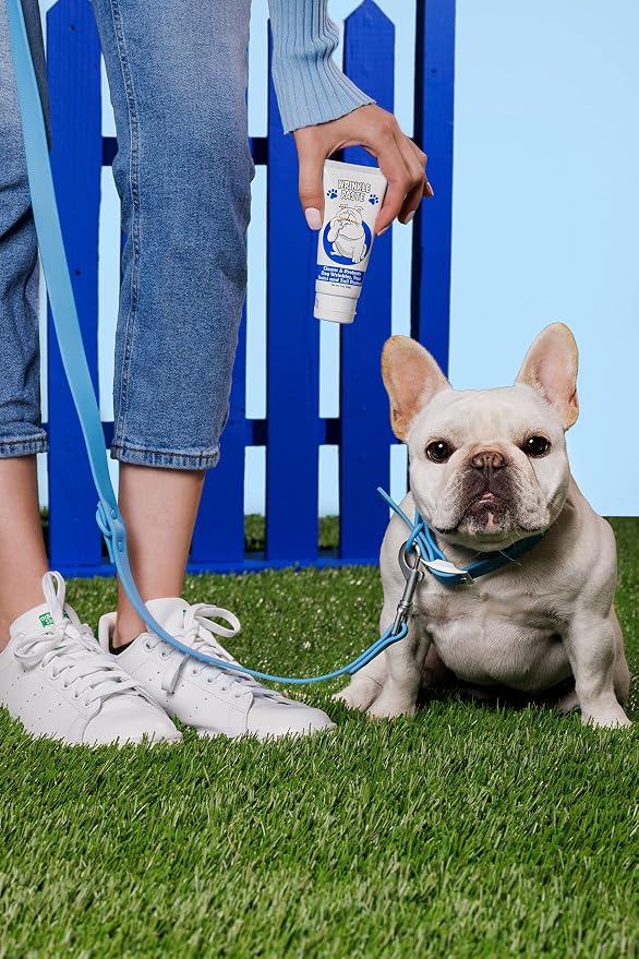 Squishface Wrinkle Paste - Bulldog, French Bulldog, Pug, English Bulldog – Cleans Wrinkles, Tear Stain, Tail Pockets, and Paws – Anti-Itch Tear Stain Remover & Bulldog Wrinkle Cream, 2 Oz.
