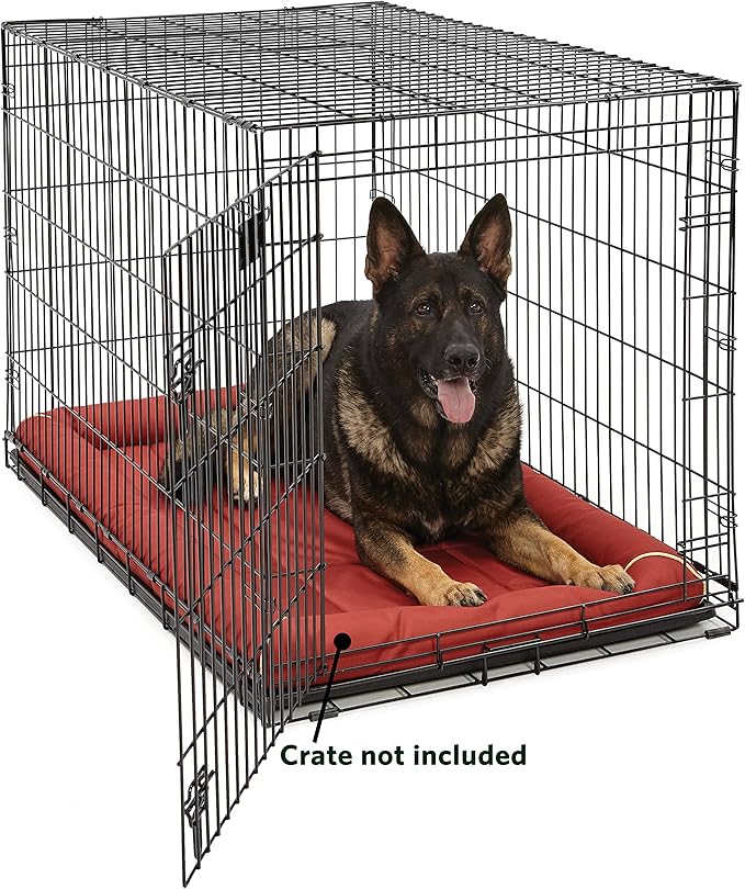 MidWest Homes for Pets XL QuietTime MAXX Ultra-Rugged Dog Bed, Water & Odor Resistant, Bolstered Edge, Non-Slip Bottom, Fits 48-inch Crates, Brick
