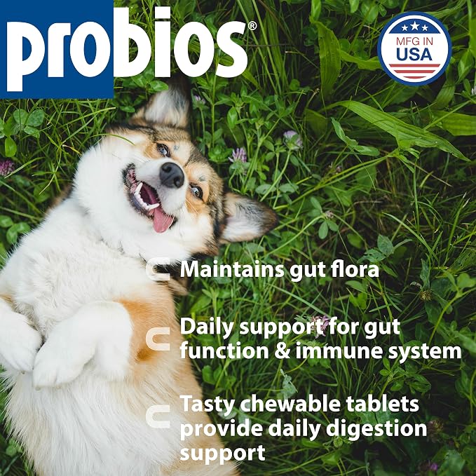 Probios Chewable Tablets for Dogs, Daily Probiotic Supplement for Gut Health, Digestion & Immune Support, Improves Microbiome Balance During Stress, Travel & Routine Changes, Chicken Liver, 45 Count