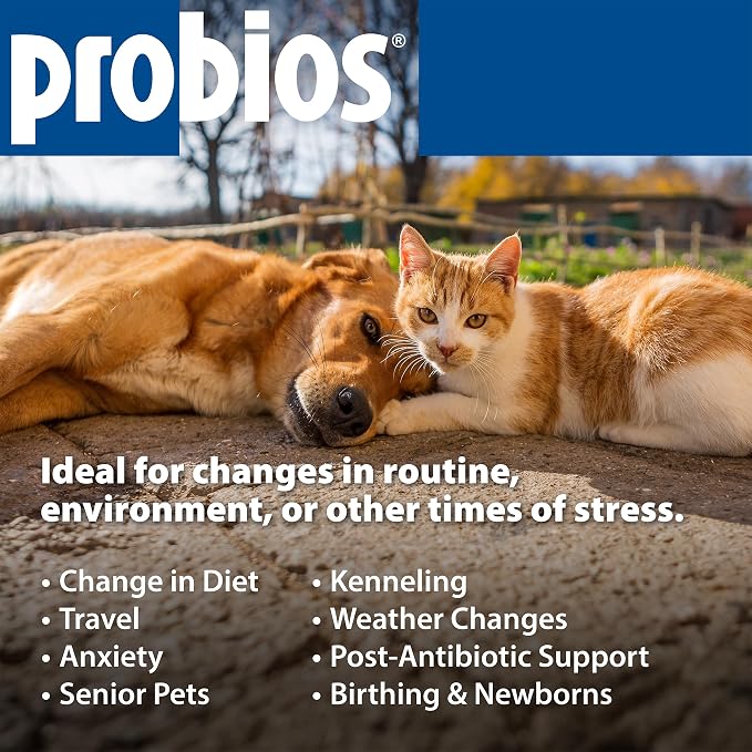Probios for Dogs Soft Chews, Daily Probiotic Supplement for Gut Health, Digestion and Immune Support Medium and Large Breeds, Chicken Liver Flavor, 4.23 oz 120 Chews