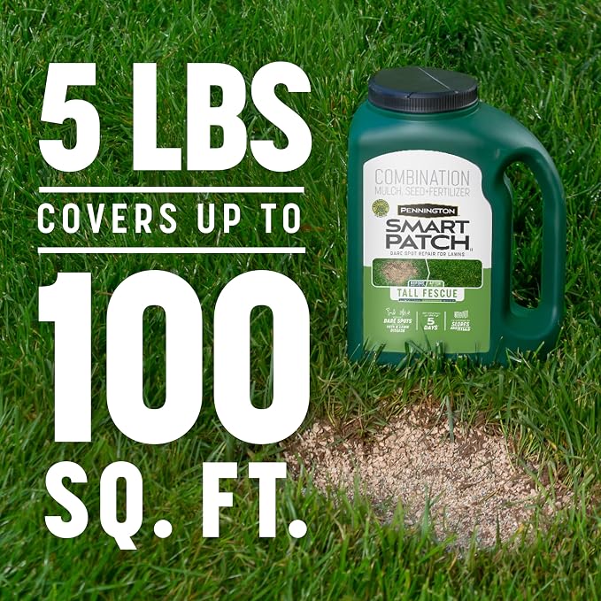 Pennington Smart Patch Tall Fescue Mix Jug 5 lb (Pack of 4)