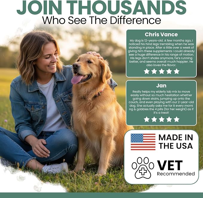 Chew + Heal Labs Glucosamine for Dogs Hip and Joint Supplement - 120 Senior Dogs Mobility Soft Chews - Made with Glucosamine, MSM, Chondroitin, Green Lipped Mussels and More - Made in The USA