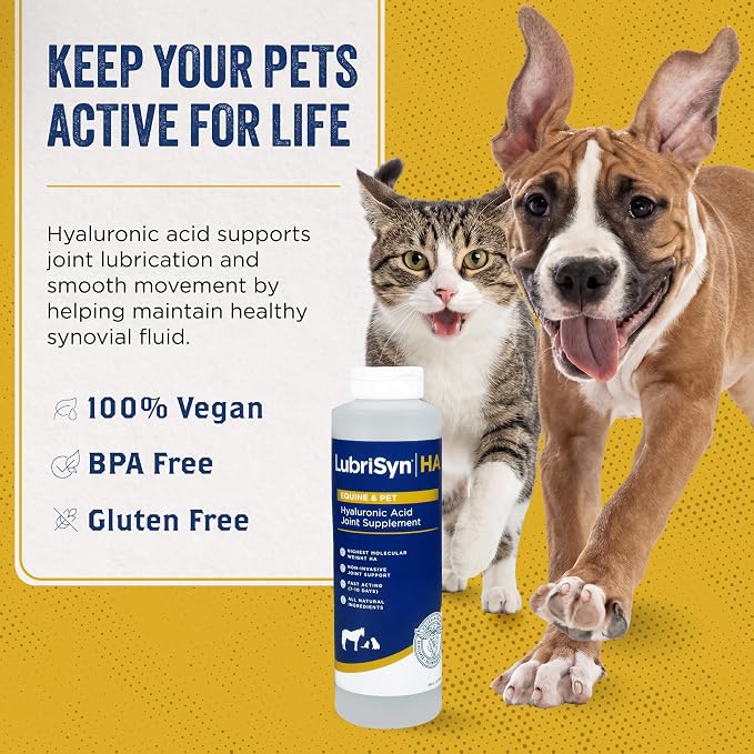 LubriSyn HA Hyaluronic Acid Hip & Joint Supplement for Dogs & Cats, Vet-Developed Oral HA, Original Pet & Equine Liquid Formula Supports Mobility, Cartilage Health & Comfort, 16 oz