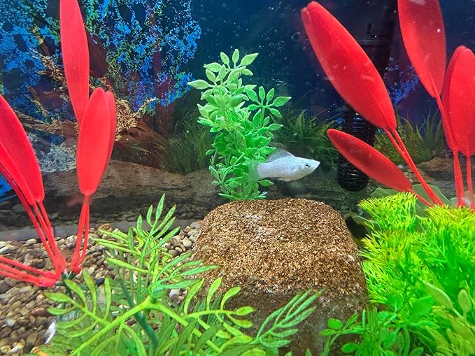 EcoBio-Block Natural Volcanic Rock for Aquarium Water Clarity & Balance — Low-Maintenance Alternative to Weekly Additives — for Freshwater Fish, Turtles, Shrimp & Frogs (Medium, 15-40 gal)