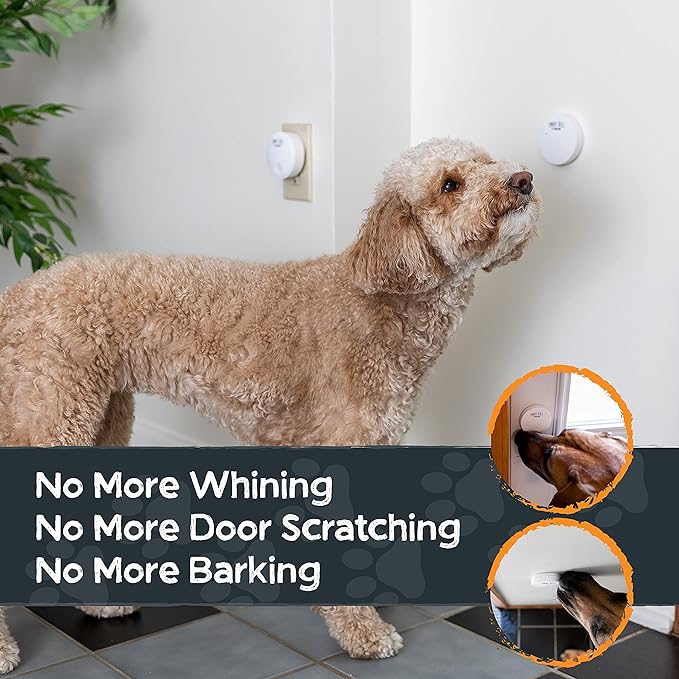 Mighty Paw Smart Bell 2.0 Dog Door Bell for Potty Training Dogs & Puppies, Wireless Dog Potty Communication, Door Bells for Dogs to Go Outside, Easy-Press Puppy Training Tools, 1 Pack
