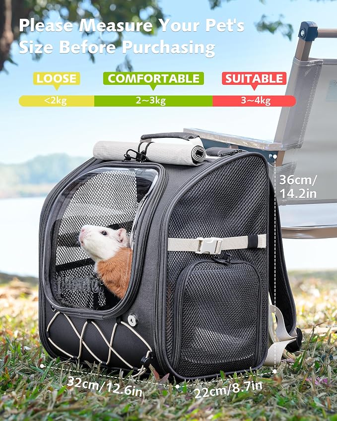 Pecute Small Pet Carrier, Breathable Bearded Dragon Carrier, with Transparent Bubble & Steel Frame, Safety Lock for Hamster, Rabbit, Guinea Pig, Parrot, Kitten, Puppy, Ideal for Travel/Vet Visits/Camp