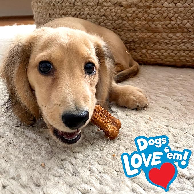 Nylabone Nubz Natural Dog Chew Treats for Puppies, Long Lasting Dog Bones Made in USA, Puppy Training Treats, Turkey & Sweet Potato Flavor, for Small Dogs Up to 25 lbs. (28 Count)