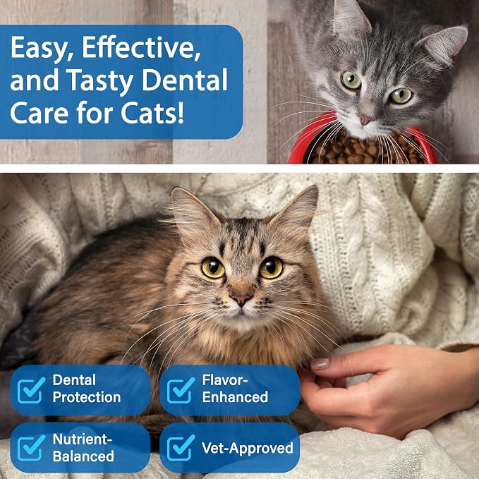 Cat Dental Powder, Bad Breath Tartar Control, Help Gingivitis and Stomatitis | Plaque Off with Natural Extracts & Probiotics