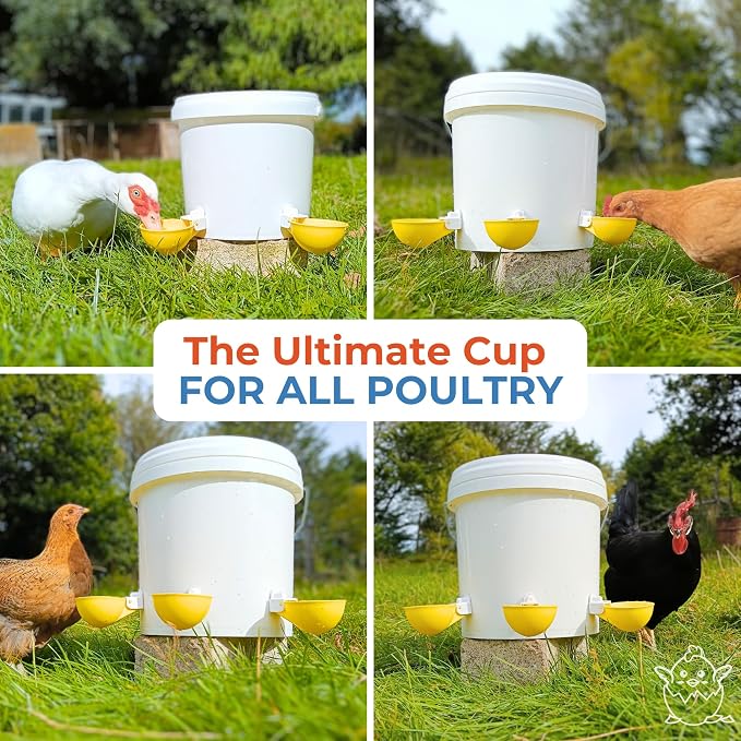 Lil'Clucker - Large Automatic Chicken Waterer Cups Suitable for Ducks, Geese, Turkeys, and Bunny Rabbit - Water Feeder Kit - Poultry Waterer (Yellow, 5 Pack)