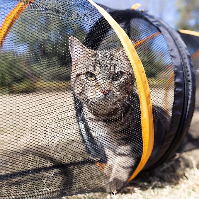 Cat Play Tunnel for Indoor and Outdoor, Kitty Play House, Cat Enclosures Easy to Connect with Cat Tent with Two Zipper Doors Outside Pet Enclosure (Fun Run Cat Tunnel),Orange 1 Pack