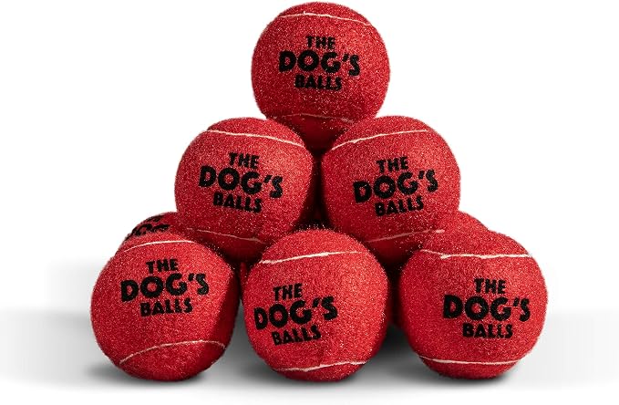 The Dog's Balls Dog Tennis Balls Tough 2.5" 12-Pack Red Floats in Water | Our fetch balls combine non-abrasive felt exterior and a thicker rubber core Durable Dog Toy for Outdoor Play & Training