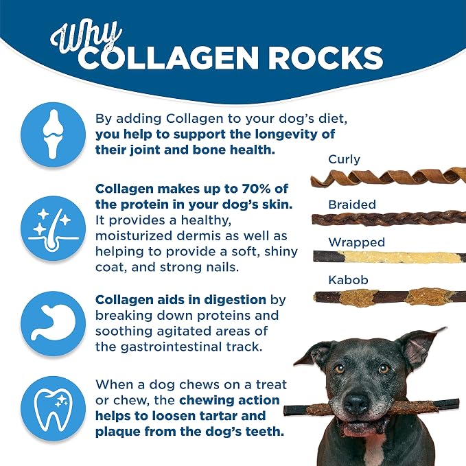 Best Bully Sticks Cheese Wrapped Beef Collagen Sticks - 6 Inch 10 Count (Pack of 1) - All-Natural, USA Baked and Packed, Easily Digestible, Limited Ingredient, Rawhide Alternative