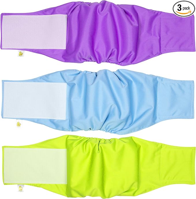 Pet Magasin Male Dog Belly Manner Band Wraps Nappies, 3-Pack, Blue Green and Purple, Medium