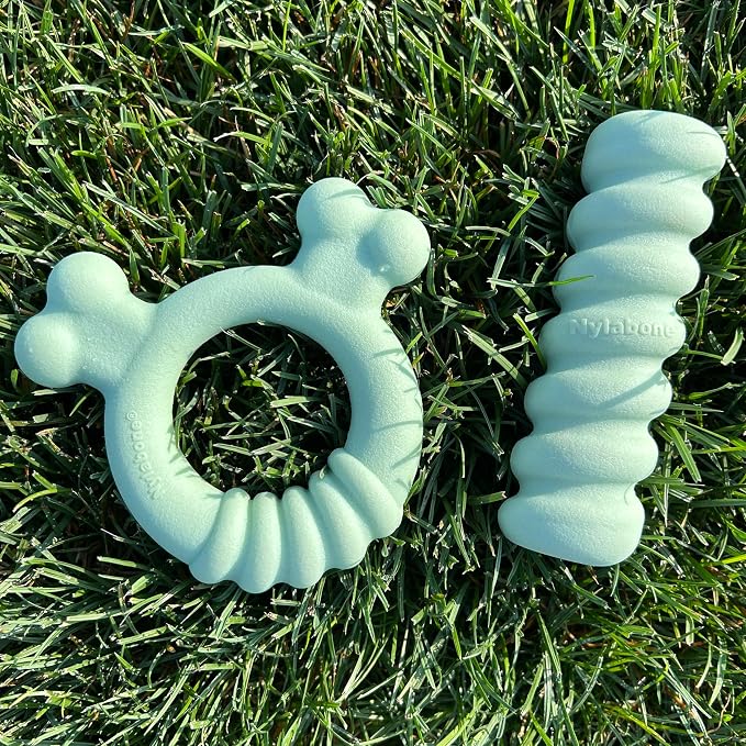 Nylabone Sensory Material Soothing Puppy Chew Toy Ring, Toys for Teething Puppies, Chicken Flavor, Small - Up to 25 lbs, 1 Count