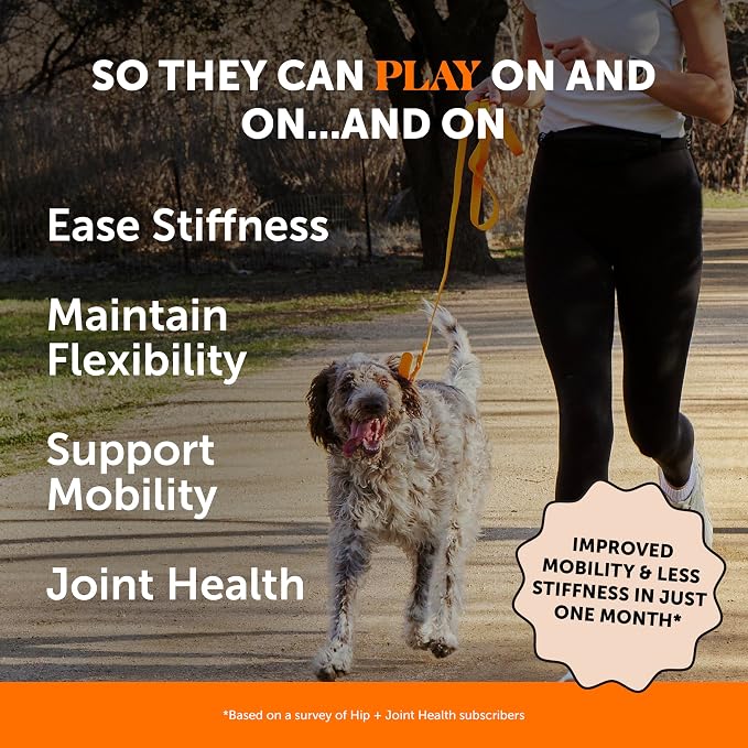 10 in 1 Multivitamin + Hip & Joint Health Soft Chew Supplement Virtual Bundle - Dog Vitamins - Glucosamine Chondroitin, Omegas, Turmeric and MSM for Overall Dog Health, Joint Supplement for Dogs.