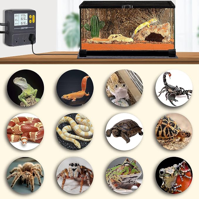 DIGITEN Day-Night Reptile Temperature Controller with Timer | 3-Stage Thermostat Outlet, Cooling & Heating Mode for Terrarium, Ball Python, Bearded Dragon, Heat Mat,Mushroom, Fermentation