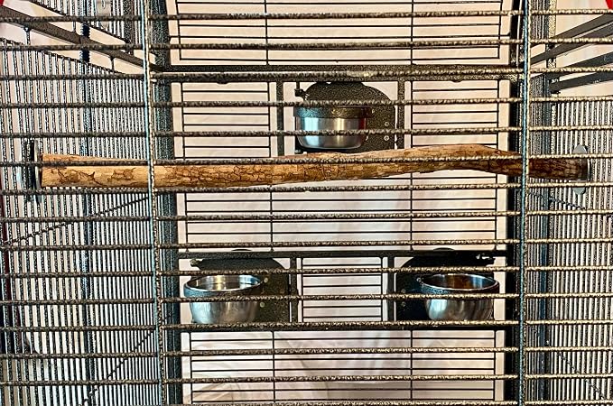 Polly's Full Length Hardwood Cage Perch for Parakeets, Cockatiels, Cockatoos, Macaws, and Other Birds (18")