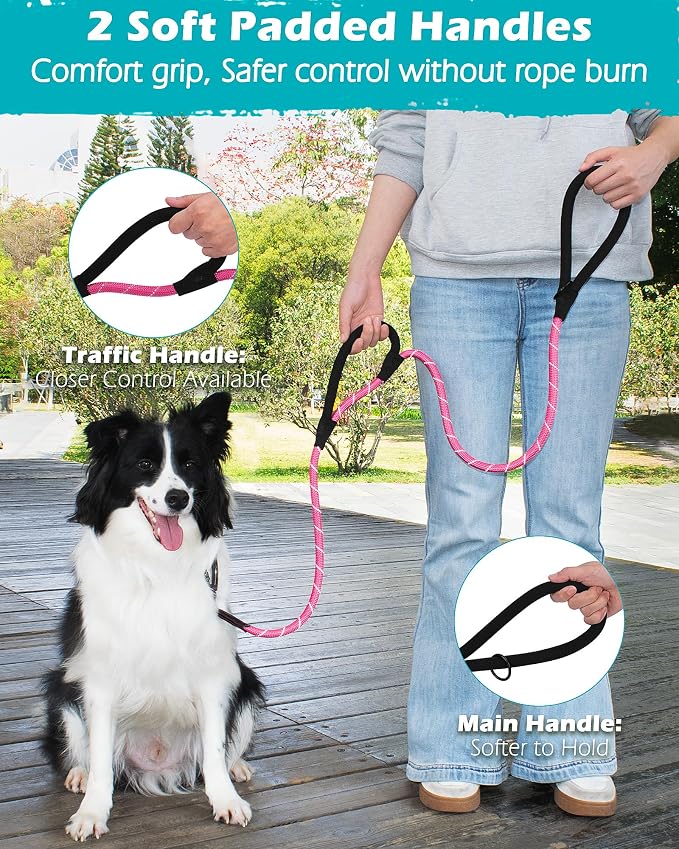 PetBonus Double Handle Rope Dog Leash and 2-Pack Large Silicone Collapsible Dog Bowls