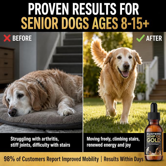 Buster's Gold Organic Hemp Oil for Dogs and Cats, 2 Large 60ml Bottles 4 Month Supply, Made in USA - Miracle Formula, Perfectly Balanced Omega 3, 6, 9 - Joint Relief, Calming (2-Pack)